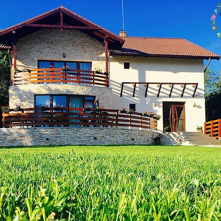 Pensiunea Casa Florela Capusu Mic Εξωτερικό φωτογραφία