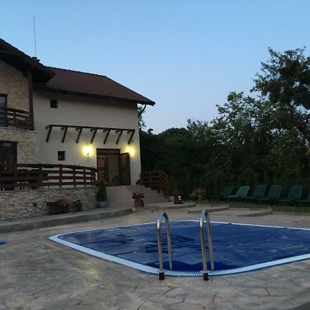 Pensiunea Casa Florela Capusu Mic Εξωτερικό φωτογραφία