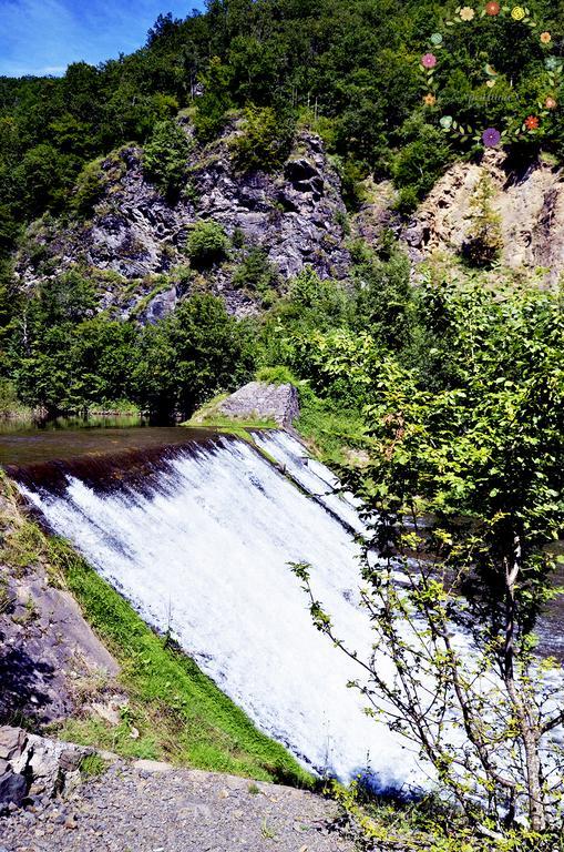 Pensiunea Casa Florela Capusu Mic Εξωτερικό φωτογραφία