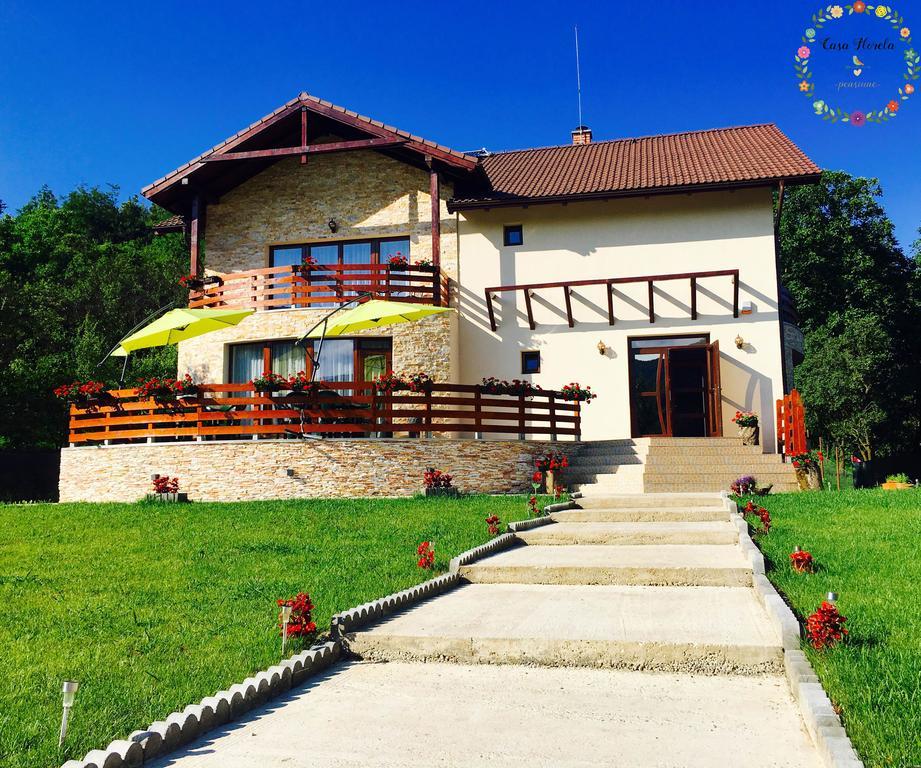 Pensiunea Casa Florela Capusu Mic Εξωτερικό φωτογραφία